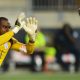 Vincent Enyeama has thrown his support behind Francis Uzoho, despite concerns among fans over the Super Eagles' goalkeeping department.