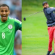 Peter Odemwingie now professional golfer