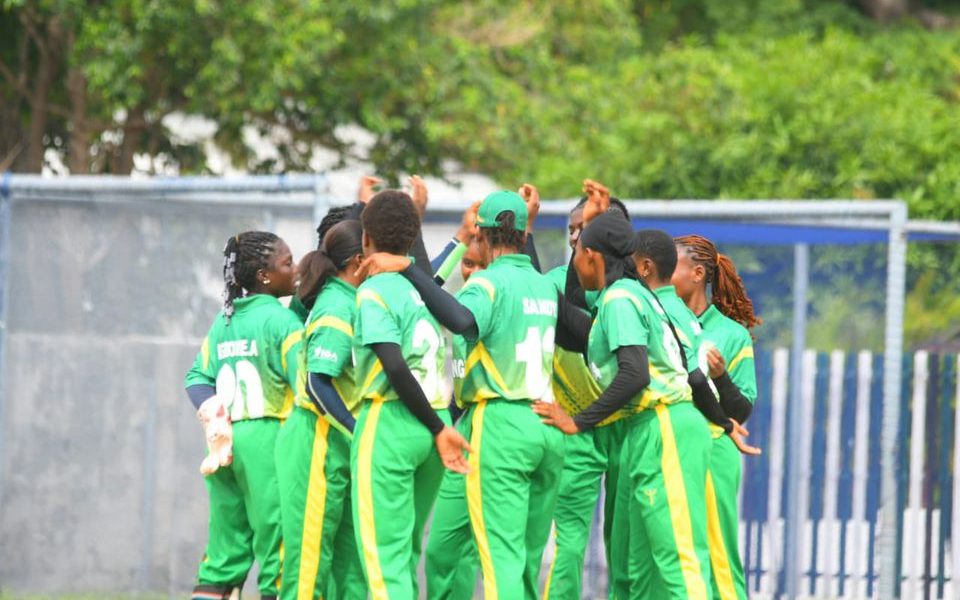 Nigeria cricket team