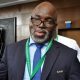 Former NFF President Amaju Pinnick has spoken out in defense of the NFF appointment of Eric Chelle as the new Super Eagles head coach